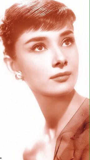 奥黛丽赫本图片高清,永恒优雅的时尚传奇