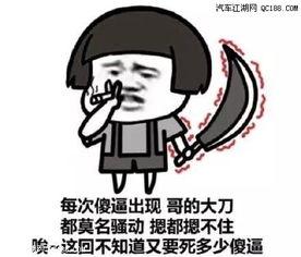 装行李表情包,揭秘装行李表情包背后的故事