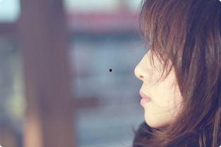 如果云知道创作背景,一场跨越时空的奇幻之旅