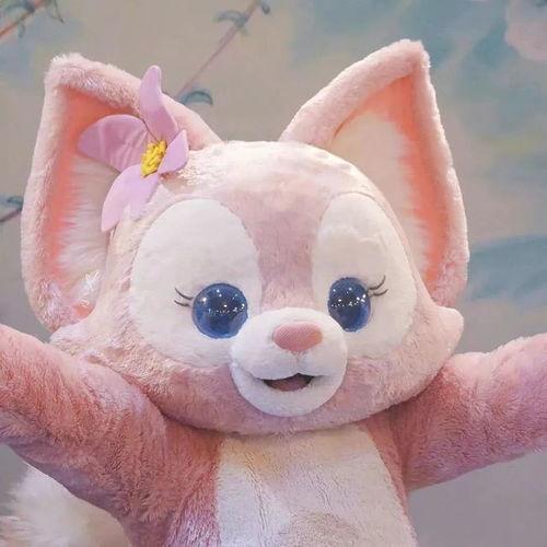 网红熊宝宝 微博,萌态可掬，俘获网友心！