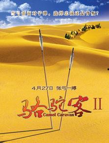 骆驼客演员表,实力派演员齐聚，演绎传奇人生