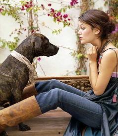 明星和宠物狗,明星们的忠诚伙伴狗