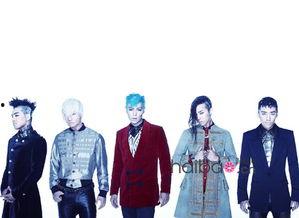 alive娱乐圈主bigbang,Alive娱乐圈的璀璨星辰