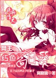 国网王红超,引领能源变革的领军人物