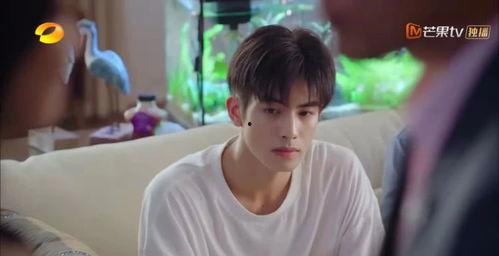 网红时期宋威龙,网红时代下的青春偶像崛起之路